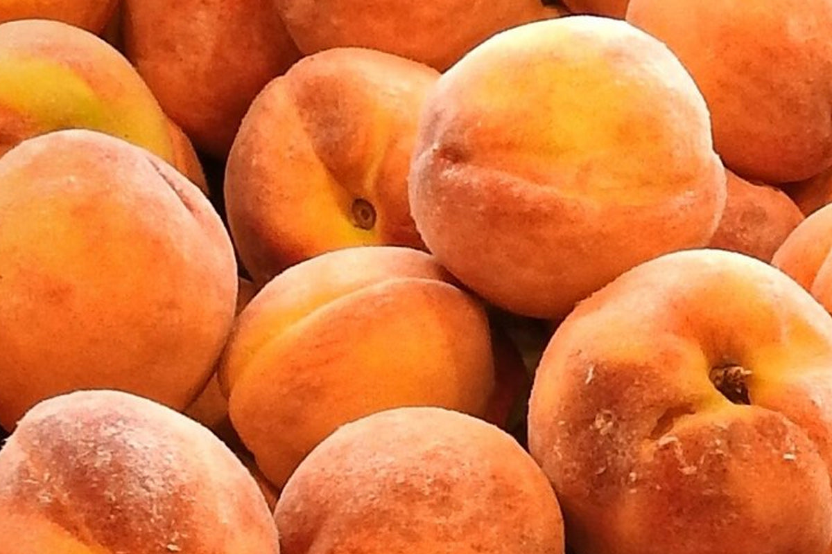 Best Georgia Peaches, Fresh Fruit Delivered
